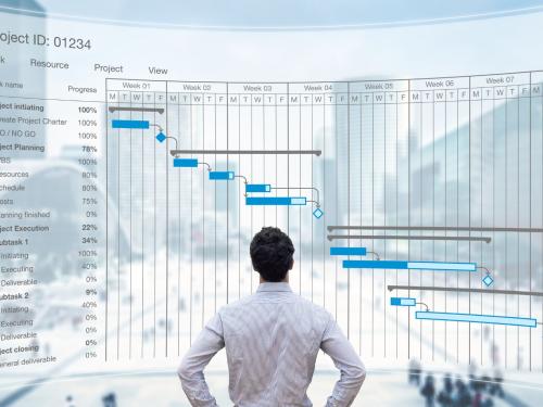 project manager 